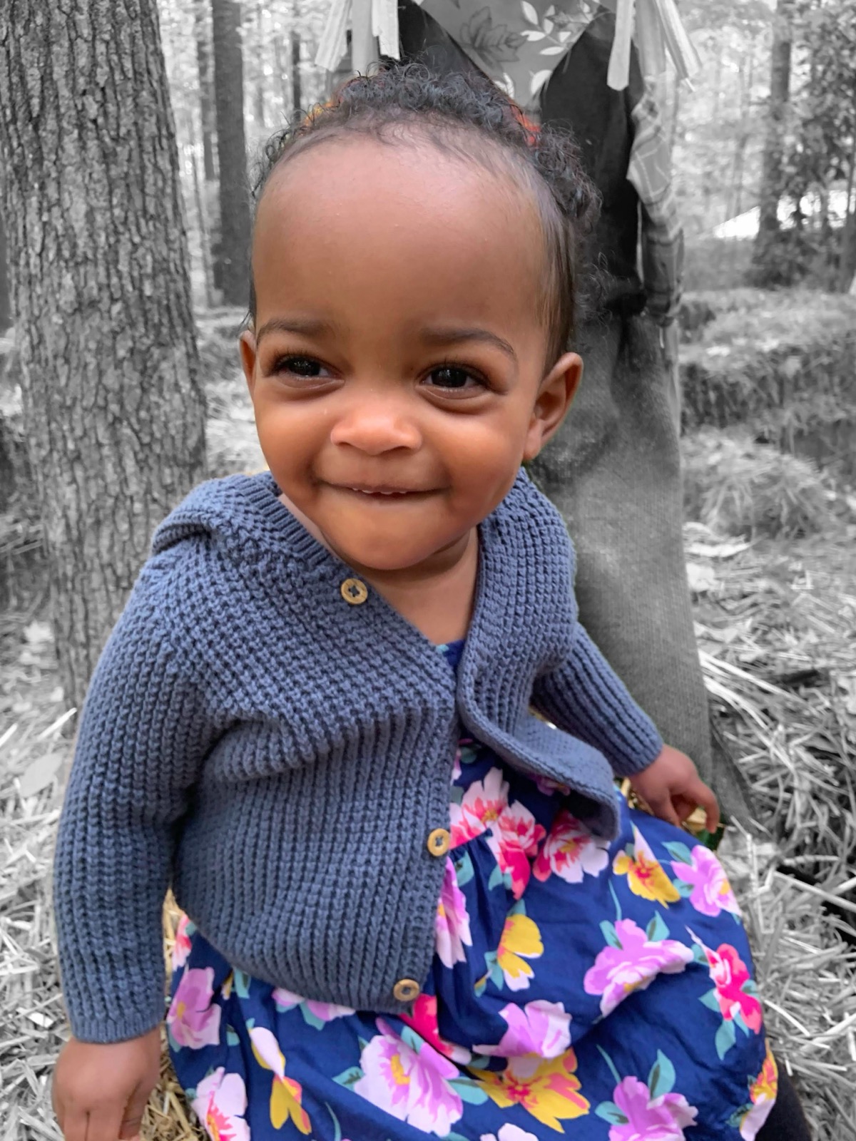 Baby Yohanna in a navy knit cardigan and blue floral skirt sitting on hay bales in the woods, color-pop portrait with black-and-white background